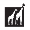 Girafe savana cadre