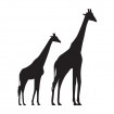 Girafe savana